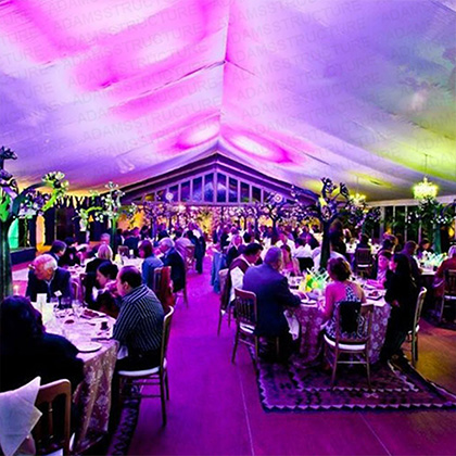Tents Party Outdoor Event